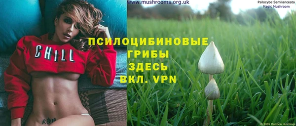 дурь Струнино