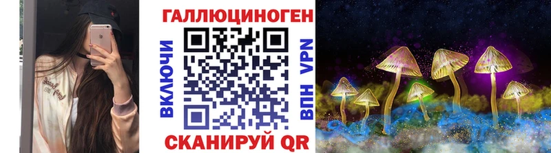 Псилоцибиновые грибы Cubensis  Купить закладки  Пласт 
